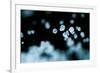 Tiny Salt Crystals-oriontrail2-Framed Art Print