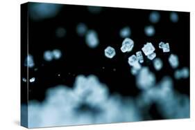 Tiny Salt Crystals-oriontrail2-Stretched Canvas