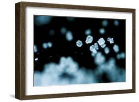 Tiny Salt Crystals-oriontrail2-Framed Art Print