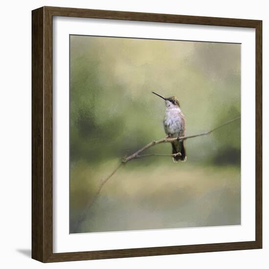 Tiny Visitor Hummingbird-Jai Johnson-Framed Giclee Print