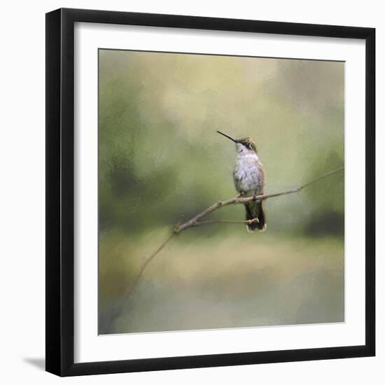 Tiny Visitor Hummingbird-Jai Johnson-Framed Giclee Print