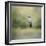 Tiny Visitor Hummingbird-Jai Johnson-Framed Giclee Print