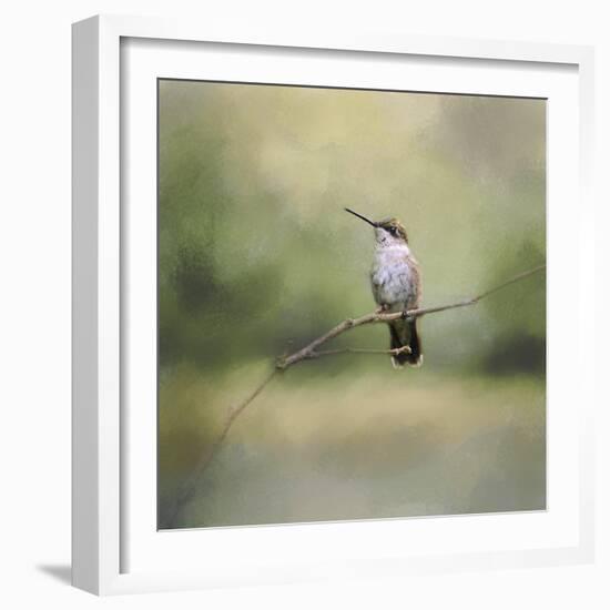 Tiny Visitor Hummingbird-Jai Johnson-Framed Giclee Print