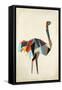 Tip Toe Zoo I-Sydney Edmunds-Framed Stretched Canvas