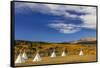 Tipis with Yellow Mountain, St. Mary, Montana, USA-Chuck Haney-Framed Stretched Canvas