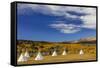 Tipis with Yellow Mountain, St. Mary, Montana, USA-Chuck Haney-Framed Stretched Canvas