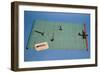 Tipp-Kick' Table Football Game, 1930s-null-Framed Giclee Print