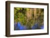 Tippecanoe River reflections, Tippecanoe State Park, Indiana, USA.-Anna Miller-Framed Photographic Print