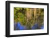 Tippecanoe River reflections, Tippecanoe State Park, Indiana, USA.-Anna Miller-Framed Photographic Print