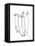 Tippy Toes-Hanna Lee Tidd-Framed Stretched Canvas