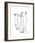 Tippy Toes-Hanna Lee Tidd-Framed Photographic Print