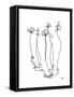Tippy Toes-Hanna Lee Tidd-Framed Stretched Canvas