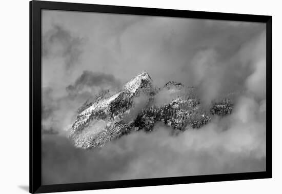 Tips-Ursula Abresch-Framed Photographic Print