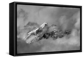 Tips-Ursula Abresch-Framed Stretched Canvas