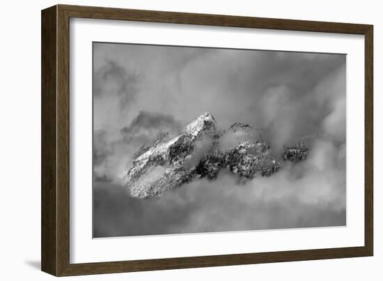 Tips-Ursula Abresch-Framed Photographic Print