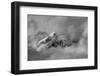 Tips-Ursula Abresch-Framed Photographic Print