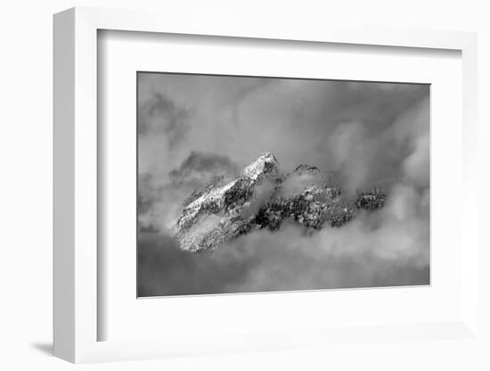 Tips-Ursula Abresch-Framed Photographic Print