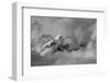 Tips-Ursula Abresch-Framed Photographic Print