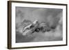 Tips-Ursula Abresch-Framed Photographic Print