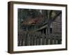 Tipton Place, Cades Cove, Great Smoky Mountains National Park, Tennessee, USA-Joanne Wells-Framed Photographic Print