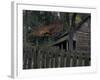 Tipton Place, Cades Cove, Great Smoky Mountains National Park, Tennessee, USA-Joanne Wells-Framed Photographic Print