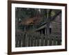 Tipton Place, Cades Cove, Great Smoky Mountains National Park, Tennessee, USA-Joanne Wells-Framed Photographic Print