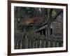 Tipton Place, Cades Cove, Great Smoky Mountains National Park, Tennessee, USA-Joanne Wells-Framed Photographic Print