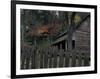 Tipton Place, Cades Cove, Great Smoky Mountains National Park, Tennessee, USA-Joanne Wells-Framed Photographic Print