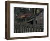 Tipton Place, Cades Cove, Great Smoky Mountains National Park, Tennessee, USA-Joanne Wells-Framed Photographic Print