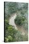 Tiputini River and Rainforest, Yasuni NP, Amazon Rainforest, Ecuador-Pete Oxford-Stretched Canvas
