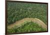 Tiputini River and Rainforest, Yasuni NP, Amazon Rainforest, Ecuador-Pete Oxford-Framed Photographic Print