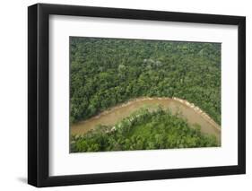 Tiputini River and Rainforest, Yasuni NP, Amazon Rainforest, Ecuador-Pete Oxford-Framed Photographic Print