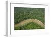 Tiputini River and Rainforest, Yasuni NP, Amazon Rainforest, Ecuador-Pete Oxford-Framed Photographic Print