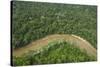 Tiputini River and Rainforest, Yasuni NP, Amazon Rainforest, Ecuador-Pete Oxford-Stretched Canvas