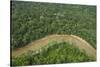 Tiputini River and Rainforest, Yasuni NP, Amazon Rainforest, Ecuador-Pete Oxford-Stretched Canvas