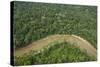 Tiputini River and Rainforest, Yasuni NP, Amazon Rainforest, Ecuador-Pete Oxford-Stretched Canvas