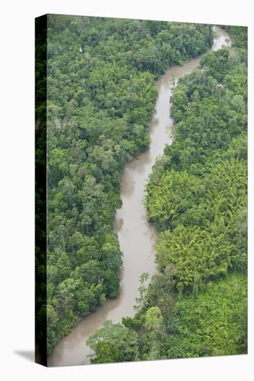 Tiputini River and Rainforest, Yasuni NP, Amazon Rainforest, Ecuador-Pete Oxford-Stretched Canvas