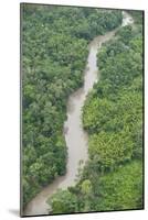 Tiputini River and Rainforest, Yasuni NP, Amazon Rainforest, Ecuador-Pete Oxford-Mounted Photographic Print