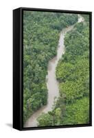 Tiputini River and Rainforest, Yasuni NP, Amazon Rainforest, Ecuador-Pete Oxford-Framed Stretched Canvas