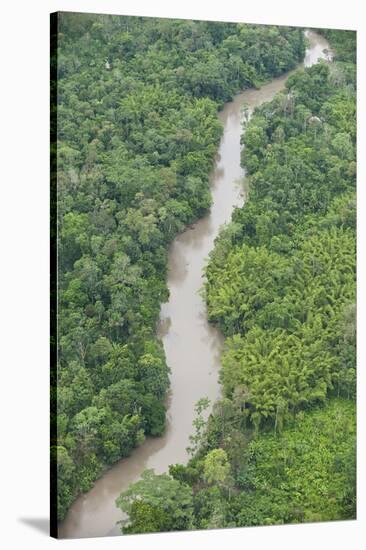 Tiputini River and Rainforest, Yasuni NP, Amazon Rainforest, Ecuador-Pete Oxford-Stretched Canvas