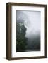 Tiputini River Scenic, Yasuni NP, Amazon Rainforest, Ecuador-Pete Oxford-Framed Photographic Print