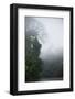 Tiputini River Scenic, Yasuni NP, Amazon Rainforest, Ecuador-Pete Oxford-Framed Photographic Print