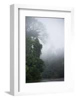 Tiputini River Scenic, Yasuni NP, Amazon Rainforest, Ecuador-Pete Oxford-Framed Photographic Print