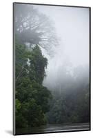 Tiputini River Scenic, Yasuni NP, Amazon Rainforest, Ecuador-Pete Oxford-Mounted Photographic Print