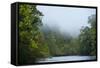 Tiputini River Scenic, Yasuni NP, Amazon Rainforest, Ecuador-Pete Oxford-Framed Stretched Canvas