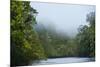 Tiputini River Scenic, Yasuni NP, Amazon Rainforest, Ecuador-Pete Oxford-Mounted Premium Photographic Print