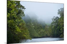 Tiputini River Scenic, Yasuni NP, Amazon Rainforest, Ecuador-Pete Oxford-Mounted Premium Photographic Print