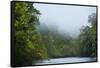 Tiputini River Scenic, Yasuni NP, Amazon Rainforest, Ecuador-Pete Oxford-Framed Stretched Canvas