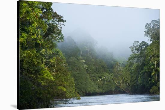 Tiputini River Scenic, Yasuni NP, Amazon Rainforest, Ecuador-Pete Oxford-Stretched Canvas