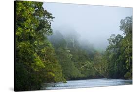 Tiputini River Scenic, Yasuni NP, Amazon Rainforest, Ecuador-Pete Oxford-Stretched Canvas